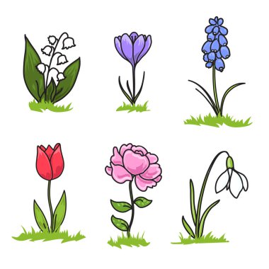 Çocuklar için ilkbahar çiçekleri çizimi, Kardamlası, Crocus, Hyacinth, Tulip, Şakayık, Beyaz Vadi Zambağı