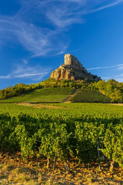 Roca Solutre Con Viñedos Borgoña Solutre Pouilly Francia —  Fotos de Stock
