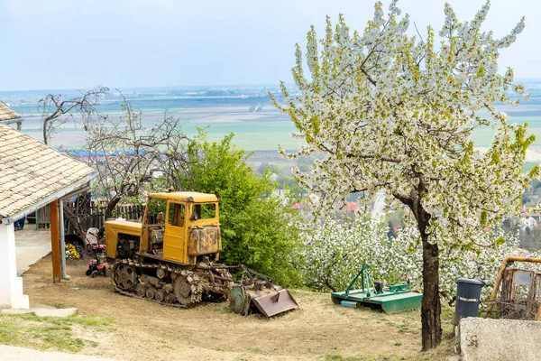 Spring Landscape Szekszard Region Hungary — Stock Photo, Image