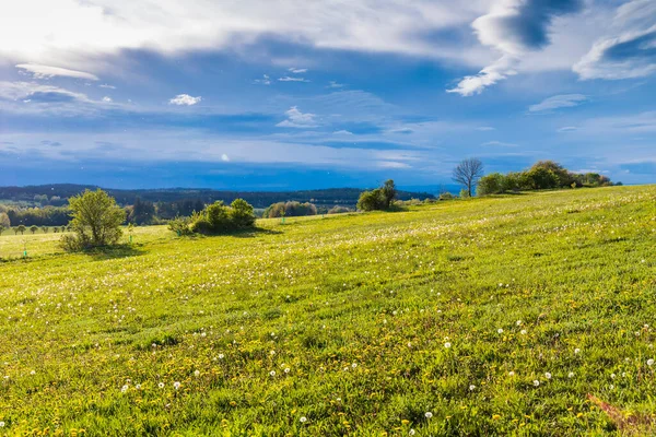 Spring Landscape Brdy Czech Republic — Stock Photo, Image