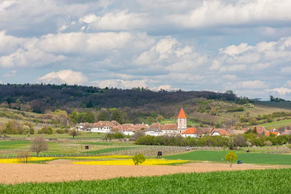 Vårvingårdar Nära Mitterretzbach Niederösterreich Österrike — Stockfoto
