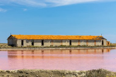 Camargue bölgesindeki Salin de Giraud, Provence, Fransa