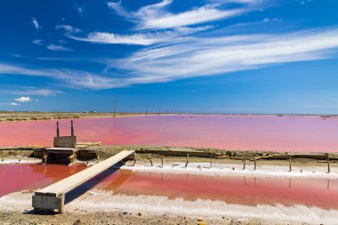 Camargue bölgesindeki Salin de Giraud, Provence, Fransa