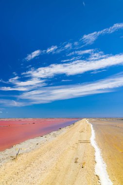 Camargue bölgesindeki Salin de Giraud, Provence, Fransa