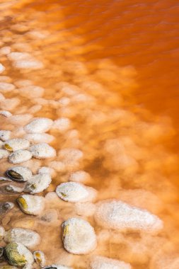 Camargue bölgesindeki Salin de Giraud, Provence, Fransa