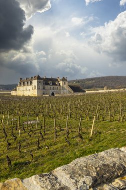 Clos de Vougeot Kalesi, Cote de Nuits, Burgundy, Fransa