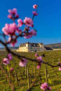 Clos de Vougeot Kalesi, Cote de Nuits, Burgundy, Fransa