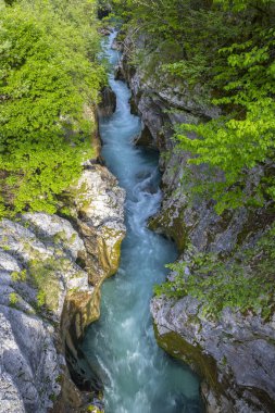 Great Soca Gorge (Velika korita Soce), Triglavski Ulusal Parkı, Slovenya