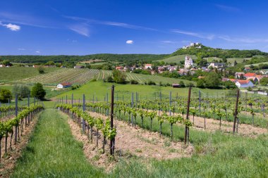 Falkenstein harabeleri ve üzüm bağı olan kasaba, Aşağı Avusturya, Avusturya