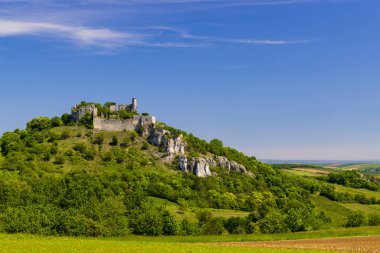 Falkenstein harabeleri ve üzüm bağı olan kasaba, Aşağı Avusturya, Avusturya