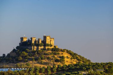 Endülüs 'teki Almodovar del Rio kalesi, İspanya