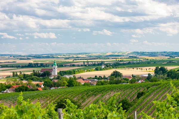 Унтеррецбах Виноградниками Нижняя Австрия Австрия — стоковое фото