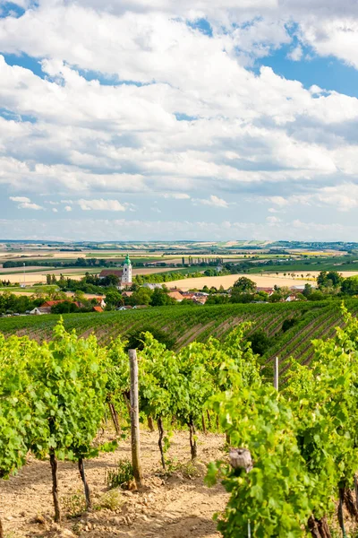 Unterretzbach Com Vinhas Baixa Áustria Áustria — Fotografia de Stock