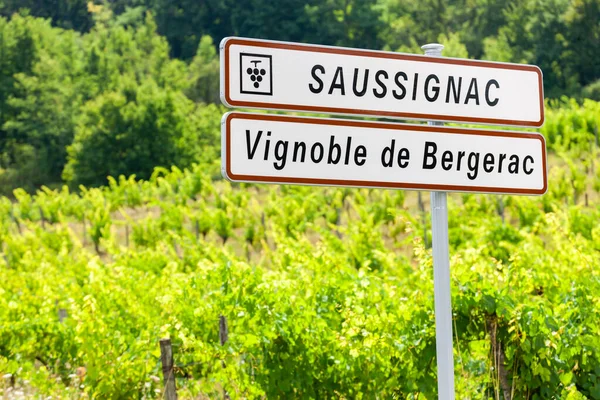 Vinice Saussignac Regionu Bergerac Departement Dordogne Francie — Stock fotografie