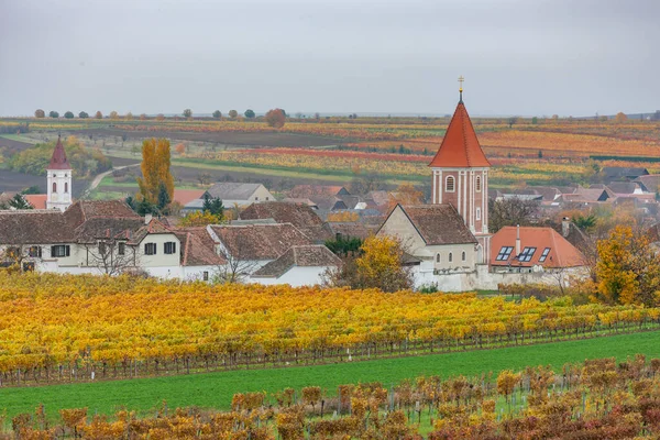 Herbstliche Weinberge Bei Mitterretzbach Niederösterreich Österreich — Stockfoto