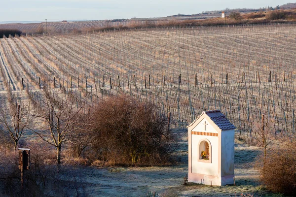Calvário Com Vinhas Inverno Hnanice Região Znojmo República Checa — Fotografia de Stock