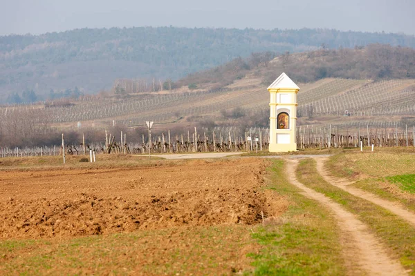Calvary Vineyards Retz Lower Austria Austria — Stock Photo, Image