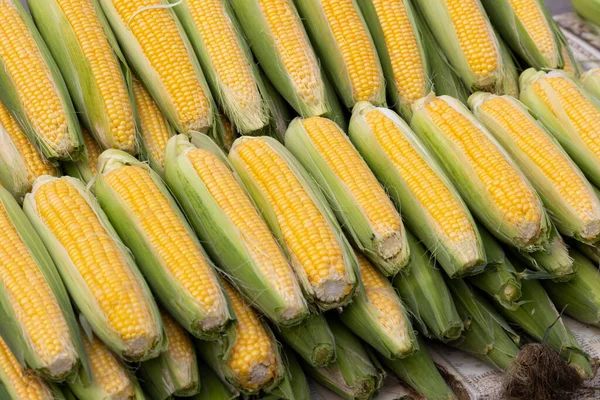 stock image corn on the street market in Eger, Hungary