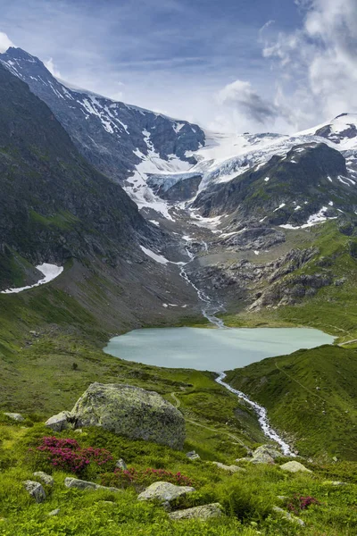 Paysage Alpin Typique Des Alpes Suisses Avec Steinsee Alpes Urner — Photo