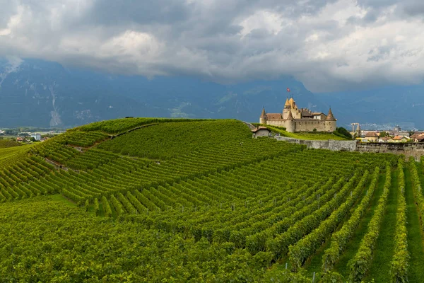 Schloss Chateau Aigle Kanton Waadt Schweiz — Stockfoto