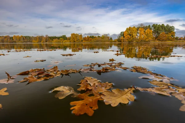 Autumn Pond Trebon Southern Bohemia Czech Republic — Stock Photo, Image