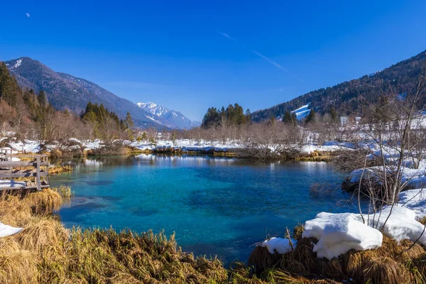 Vinterlandskap Zelenci Slovenien — Stockfoto