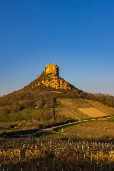 Felsen Von Solutre Mit Weinbergen Burgund Solutre Pouilly Frankreich — Stockfoto