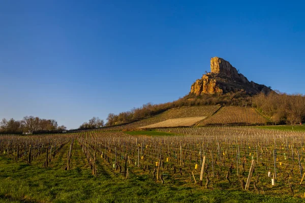 Rocha Solutre Com Vinhas Borgonha Solutre Pouilly França — Fotografia de Stock