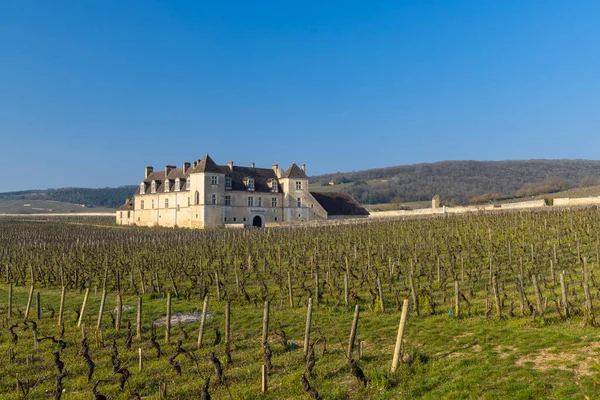 Schloss Clos Vougeot Cote Nuits Burgund Frankreich — Stockfoto