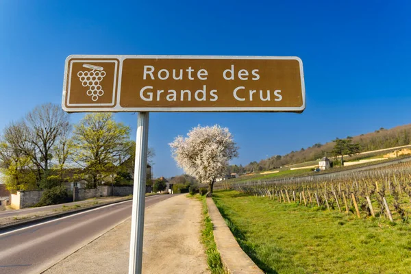 Οινοδρόμος Route Des Grands Crus Κοντά Στο Gevrey Chambertin Βουργουνδία — Φωτογραφία Αρχείου