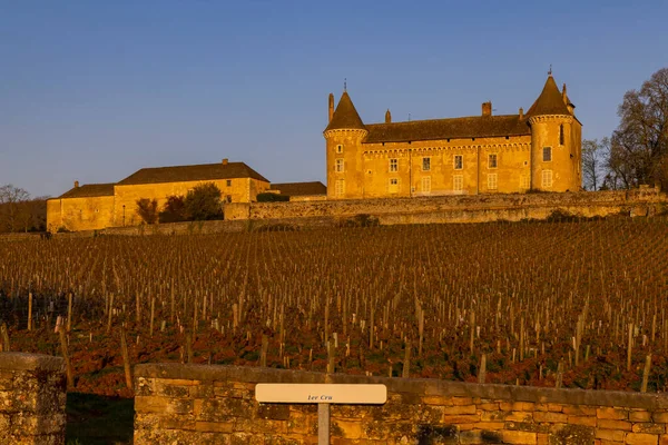 Chateau Rully Slott Saone Loire Departement Bourgogne Frankrike — Stockfoto