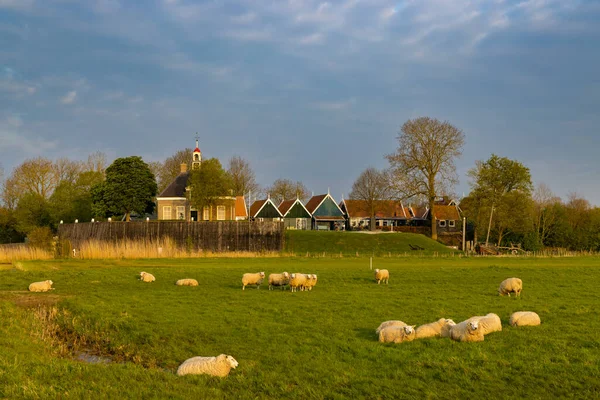 Eski Schokland Adası Unesco Dünya Mirası Alanı Hollanda — Stok fotoğraf