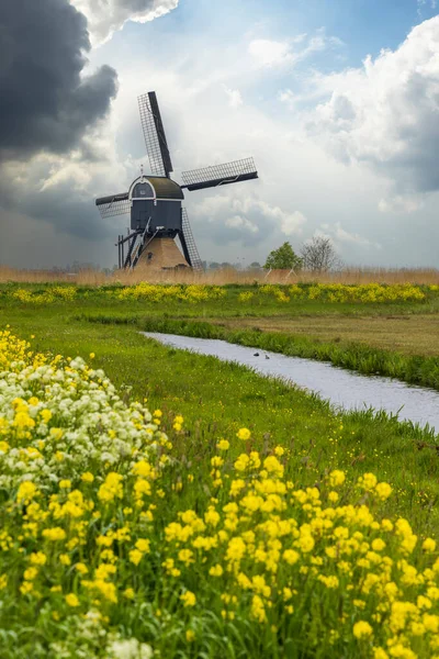 Windmill Broekmolen Molenlanden Nieuwpoort Нідерланди — стокове фото