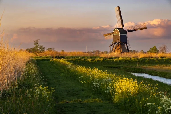 Windmill Broekmolen Molenlanden Nieuwpoort Netherlands — Photo