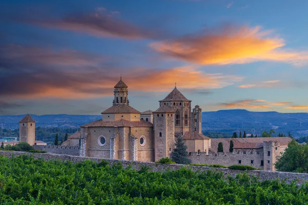 Abația Regală Santa Maria Poblet Mănăstirea Cisterciană Catalonia Spania — Fotografie, imagine de stoc