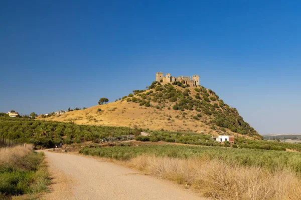 Almodovar Del Rio Castle Andalusia Spain — Stock Photo, Image