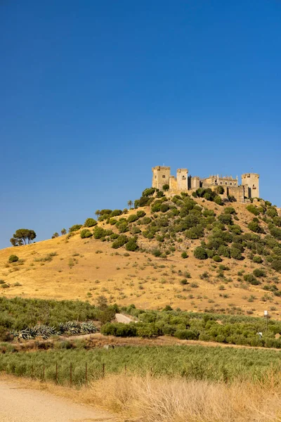 Schloss Almodovar Del Rio Andalusien Spanien — Stockfoto