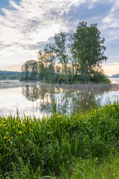 Trebon Yakınlarındaki Gölet Güney Bohemya Czecg Cumhuriyeti — Stok fotoğraf