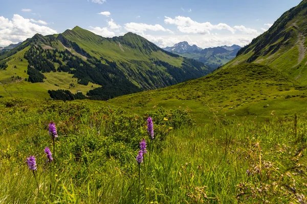 Paisaje Alpino Típico Principios Verano Cerca Damuls Vorarlberg Austria —  Fotos de Stock