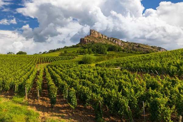 Rock Solutre Vineyards Burgundy Solutre Pouilly France — Stock Photo, Image