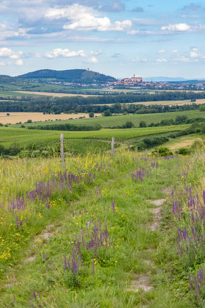 Palava Landschaft Bei Dolni Dunajovice Südmähren Tschechische Republik — Stockfoto
