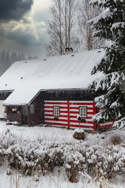 Vecchi Cottage Legno Orlicke Mountains Boemia Orientale Repubblica Ceca — Foto Stock