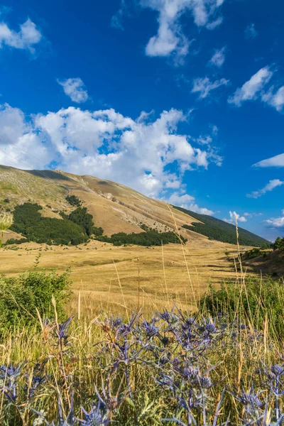 Nationaal Park Van Abruzzo Bij Barrea Lazio Molis Italië — Stockfoto