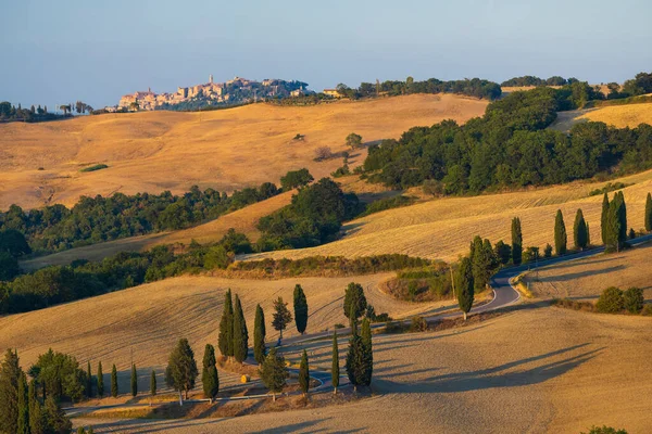 Cipressi Monticchielo Typische Toskanische Landschaft Bei Montepulciano Italien — Stockfoto