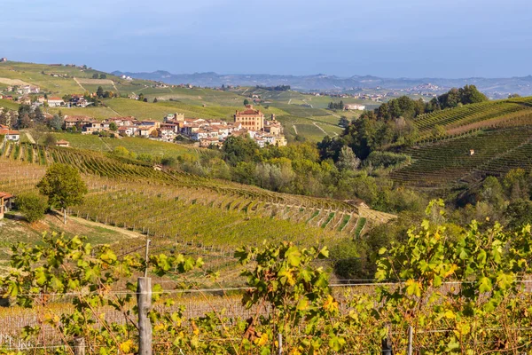 Autumnal Vineyards Piedmont Italy — Stock Photo, Image