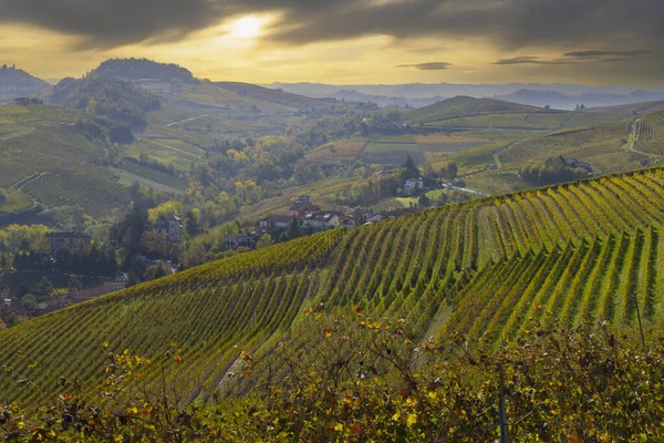 Sonbahar Üzüm Bağları Piedmont Talya — Stok fotoğraf