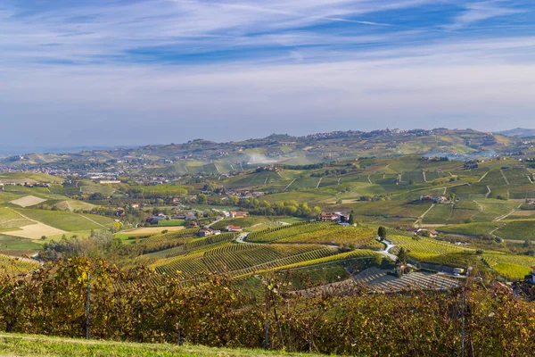 Jesienne Winnice Piemont Włochy — Zdjęcie stockowe