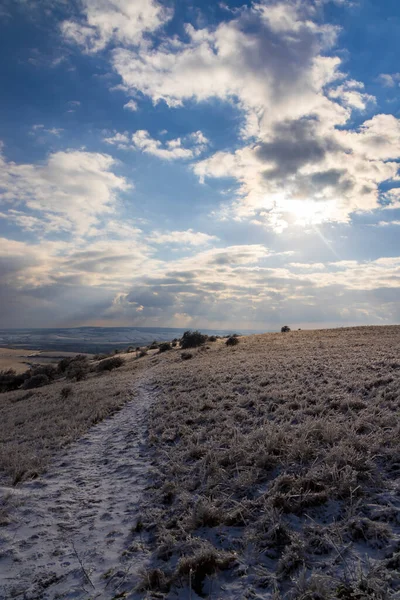 チェコ共和国南モラヴィアのパラヴァ地方ミクーロフ付近の冬の風景 — ストック写真
