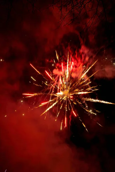 Celebración Con Espectáculo Fuegos Artificiales Por Noche — Foto de Stock