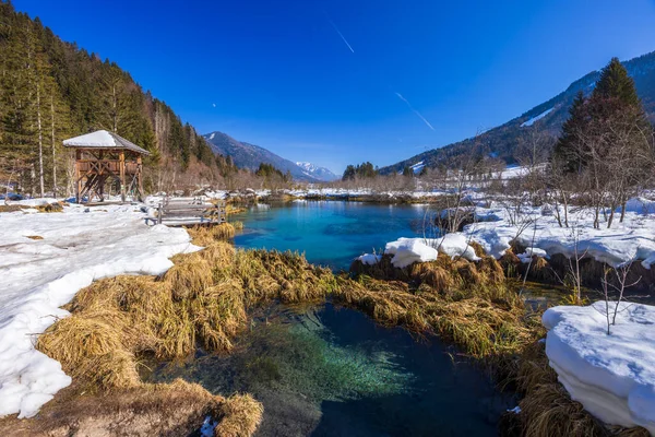 Winter Landscape Zelenci Slovenia — Stock Photo, Image